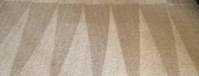 Business 2 image EXTREME CARPET CLEAN Cleaning Services in Riverside CA