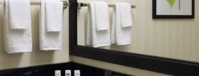 Business 19 image FAIRFIELD INN & SUITES BY MARRIOTT TACOMA PUYALLUP Hotels in Puyallup WA