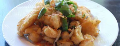 Business 5 image FAT'S ASIA BISTRO AND DIM SUM Restaurants in Folsom CA