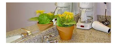 Business 1 image FLAMINGO MOTOR LODGE Motels in San Jose CA