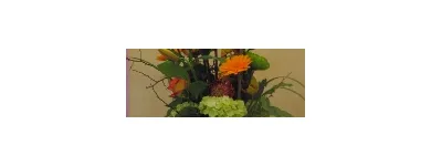 Business 4 image FLOWER BOWL FLORIST Plants in Walnut Creek CA