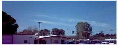 Business 1 image FLOWERBEE Florists in Tucson AZ