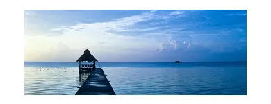 Business 5 image FORENSIC ACCOUNTING Accounting Services in New York NY