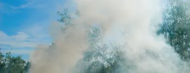 Business 1 image FOURTH GATE SMOKE DAMAGE EXPERTS Fire & Water Damage Restoration in Livonia IN