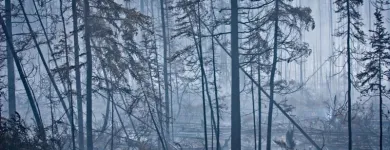 Business 8 image FOURTH GATE SMOKE DAMAGE EXPERTS Fire & Water Damage Restoration in Livonia IN