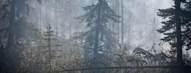 Business 12 image FOURTH GATE SMOKE DAMAGE EXPERTS Fire & Water Damage Restoration in Livonia IN