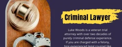 Business 11 image FRIZWOODS LLC - CRIMINAL DEFENSE LAW FIRM Criminal Defense Attorney in Upper Marlboro MD