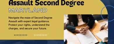 Business 24 image FRIZWOODS LLC - CRIMINAL DEFENSE LAW FIRM Criminal Defense Attorney in Upper Marlboro MD