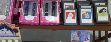 Business 3 image FURRY FRIENDS DOG AND CAT GROOMING Pet Grooming in San Diego CA
