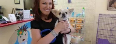 Business 7 image FURRY FRIENDS DOG AND CAT GROOMING Pet Grooming in San Diego CA