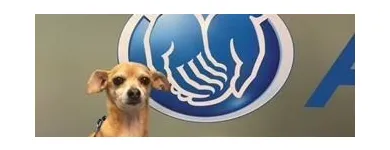 Business 4 image GEORGE CARRANZA: ALLSTATE INSURANCE Home Insurance Quote in Denton TX