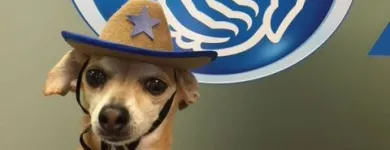 Business 9 image GEORGE CARRANZA: ALLSTATE INSURANCE Home Insurance Quote in Denton TX