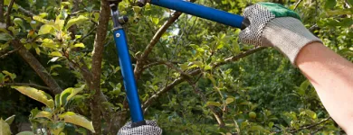 Business 3 image GEORGETOWN TREE AND STUMP SERVICE Tree Service Equipment & Supplies in Georgetown KY