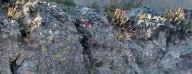 Business 8 image GERMAN MOTORS COLLISION CENTER Windshield Repair in San Francisco CA