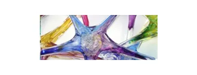 Business 1 image GIFTED Women's Fashion Accessories in Boston MA