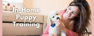 Business 1 image GO ANYWHERE DOG Dog Training in Minneapolis MN