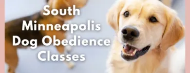Business 2 image GO ANYWHERE DOG Dog Training in Minneapolis MN