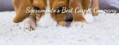 Business 2 image GOLD RIVER FLOORING AMERICA Flooring Stores in Folsom CA
