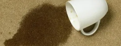 Business 4 image GREAT AMERICAN CARPET AND STONE CARE Pet Odor Removal in Tomball TX