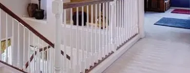 Business 5 image GREAT AMERICAN CARPET AND STONE CARE Pet Odor Removal in Tomball TX