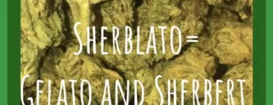 Business 15 image GREEN VIBES DISPENSARY Best Dispensary in Oklahoma City OK