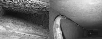 Business 2 image GREENDUCTORS AIR DUCT CLEANING NYC Duct Cleaning in New York NY