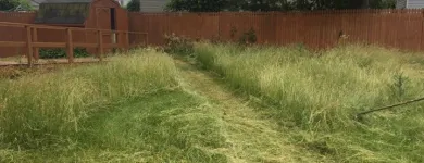 Business 3 image GREENPAL LAWN CARE OF SEATTLE Lawn Maintenance in Seattle WA