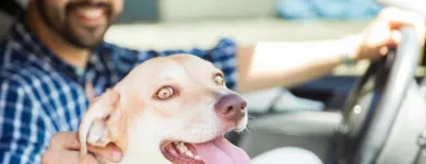 Business 1 image GREG'S JAPANESE AUTO Car Repair and Maintenance in Puyallup WA