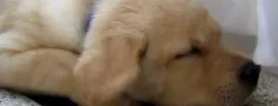 Business 5 image GRIFFITH ENERGY SERVICES, INC. Plumbing & HVAC Equipment & Supplies in Baltimore MD