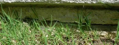 Business 10 image HD FOUNDATIONS Masonry & Stonework Contractors in Arlington TX