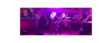 Business 21 image HIGH 5 GRILLE Sports Bars in Tucson AZ