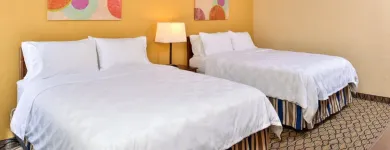 Business 58 image HOLIDAY INN & SUITES CHICAGO-DOWNTOWN, AN IHG HOTEL Wedding Venue in Chicago IL