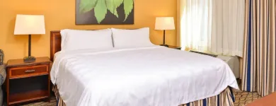 Business 65 image HOLIDAY INN & SUITES CHICAGO-DOWNTOWN, AN IHG HOTEL Wedding Venue in Chicago IL