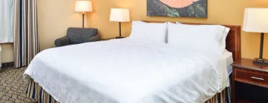 Business 88 image HOLIDAY INN & SUITES CHICAGO-DOWNTOWN, AN IHG HOTEL Wedding Venue in Chicago IL