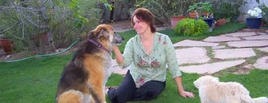 Business 3 image HOME SWEET HOME PET SITTING AND DOG WALKING Pet Sitting Exercising Services in Tucson AZ