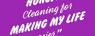 Business 3 image HONEYDO CLEANING INC Cleaning Services in Mesquite TX