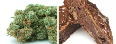 Business 2 image HOUSE OF RELEAF in Del City OK