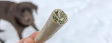 Business 3 image HOUSE OF RELEAF in Del City OK