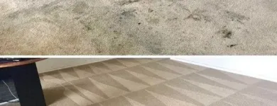 Business 2 image HOUSTON CARPET CLEANING Cleaning Services in Houston TX