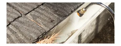Business 7 image HOUSTON GUTTER CLEANING & REPAIRS Gutter Cleaning Service in Houston TX