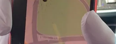 Business 43 image ICARE IREPAIR.COM Telecommunications Equipment Supplier in Stockton CA