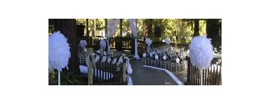 Business 3 image ICELEBRATE EVENT RENTALS Party Services in San Jose CA