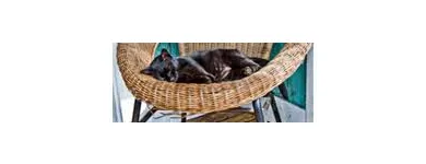 Business 5 image JARDIN WICKER Furniture Repair & Refinish in Albany CA