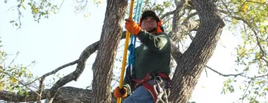 Business 4 image JE LANDSCAPING COMPANY Tree Service in San Diego CA