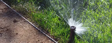 Business 5 image JE LANDSCAPING COMPANY Tree Service in San Diego CA