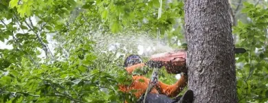 Business 6 image JE LANDSCAPING COMPANY Tree Service in San Diego CA