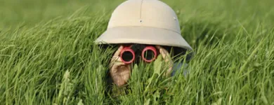 Business 4 image JILL C. BERNI Real Estate Marketing in Citrus Heights CA