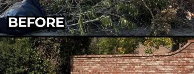 Business 13 image JUNK IT MOVE IT Waste Management in Danville CA