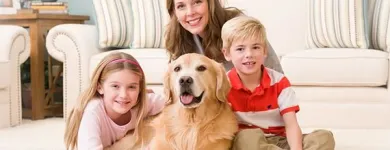 Business 2 image K & L CHEM-DRY Cleaning Services in Tucson AZ