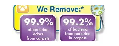 Business 3 image K & L CHEM-DRY Cleaning Services in Tucson AZ